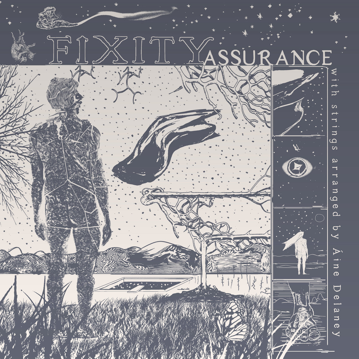 Fixity — Assurance album cover: a grey-blue ink drawing of a figure standing in long grass under a starred sky, with the margin lettered 'with strings arranged by Áine Delaney'